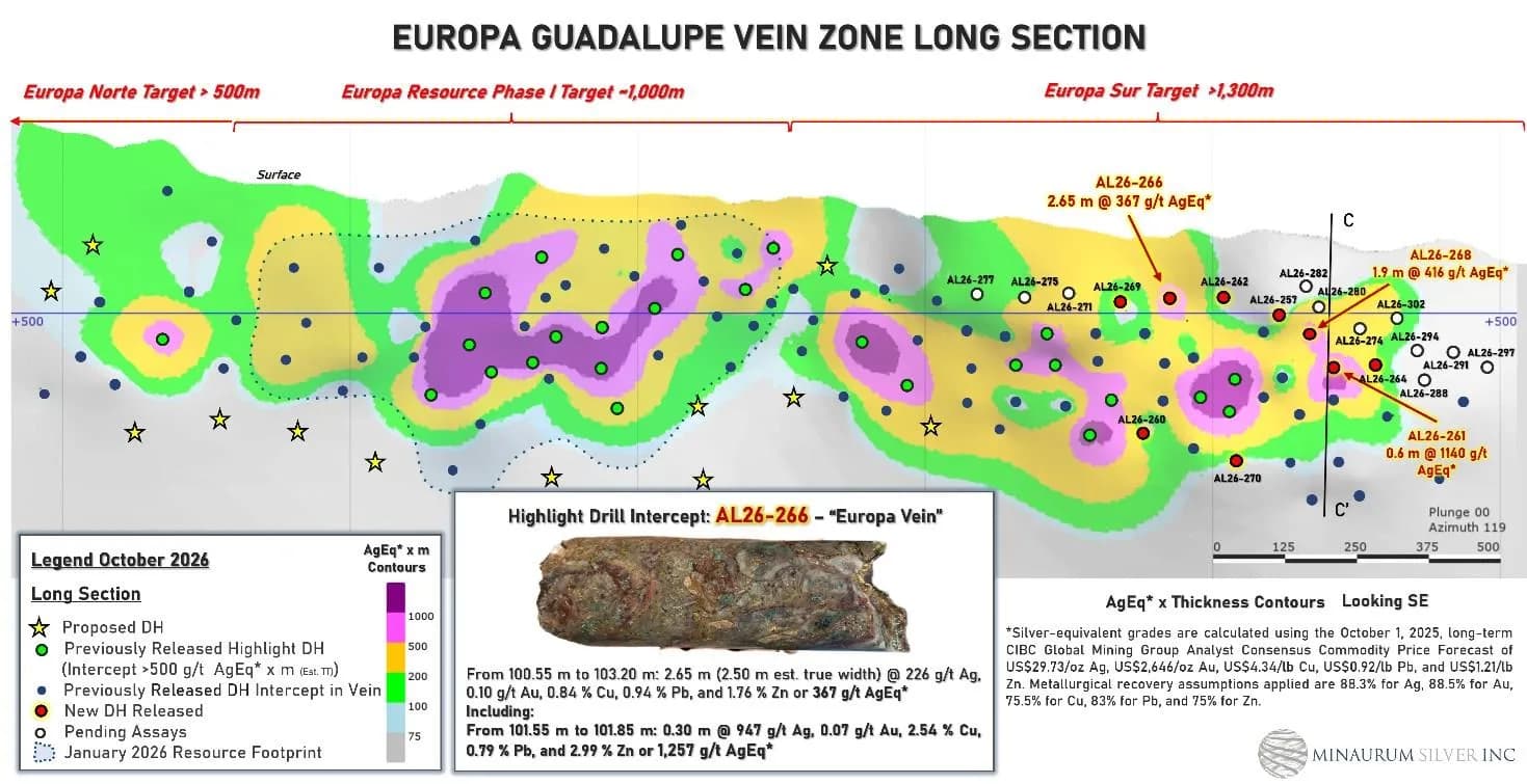 Figura 3. Sección longitudinal de la zona de vetas Europa-Europa Sur, que muestra la ubicación de las intersecciones mineralizadas resaltadas.