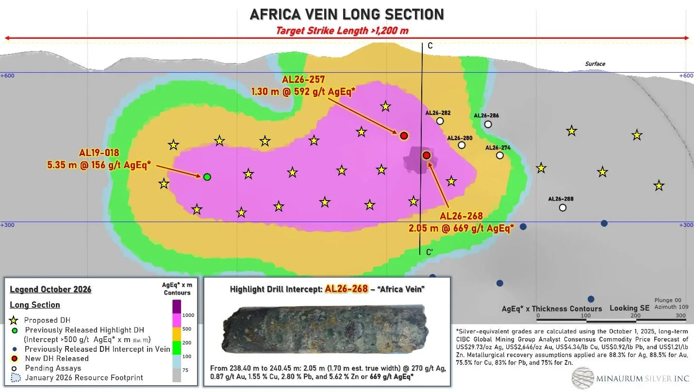 Figura 2. Sección longitudinal de la vena África que muestra las intersecciones.
