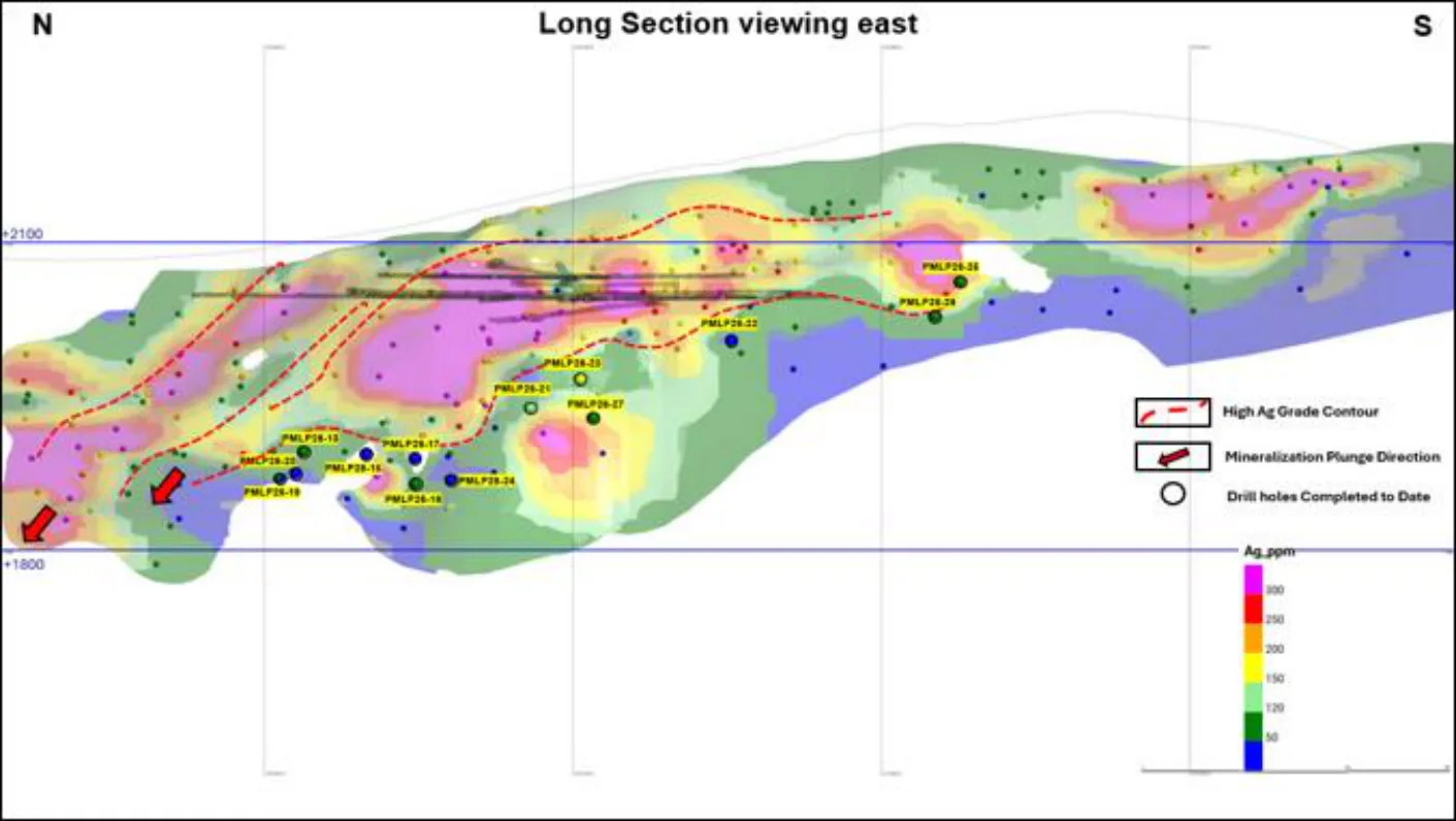 Figura 2. Vista longitudinal de la veta Abundancia que muestra los pozos actuales (resaltados) en relación con las perforaciones históricas.
