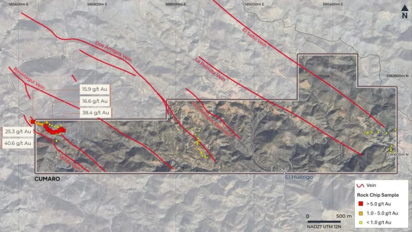 Mapa satelital de la concesión Cumaro con las vetas cartografiadas y las leyes de oro en muestras de roca